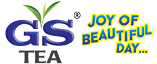 GS Brands Logo