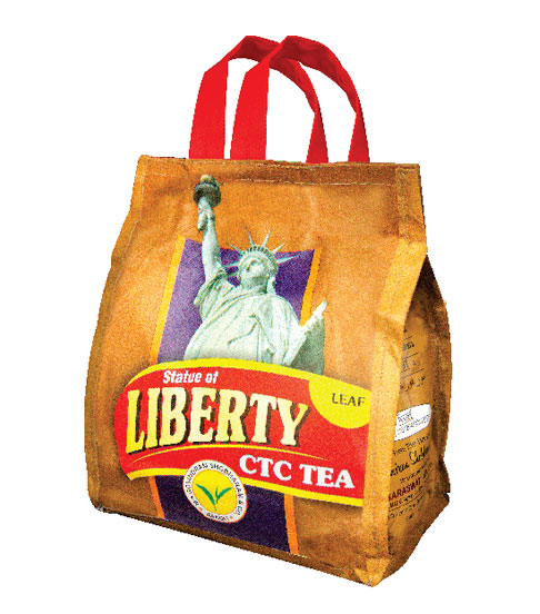 Statue of Liberty ctc